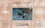 2020 Au printemps - Canard pilet - DJ Cleland - Hura