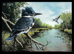 2020 The stewards of the waterways by Pierre Girard