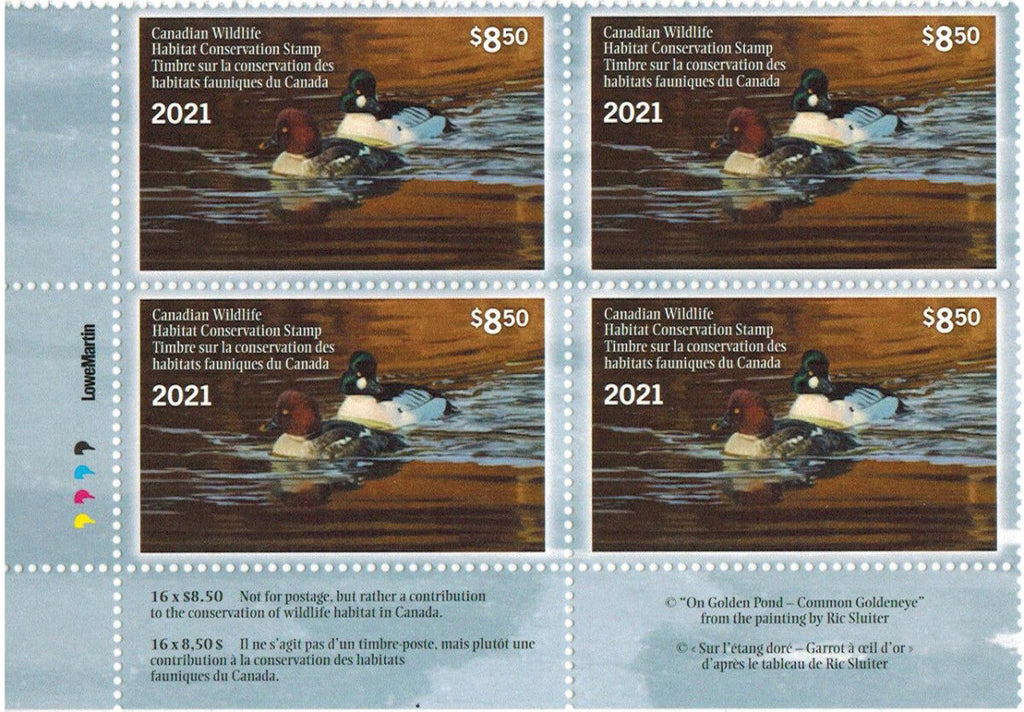 2021 « On Golden Pond – Common Goldeneye » from the painting by Ric Sluiter