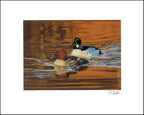 2021 « On Golden Pond – Common Goldeneye » from the painting by Ric Sluiter