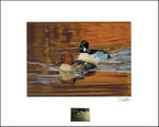 2021 « On Golden Pond – Common Goldeneye » from the painting by Ric Sluiter
