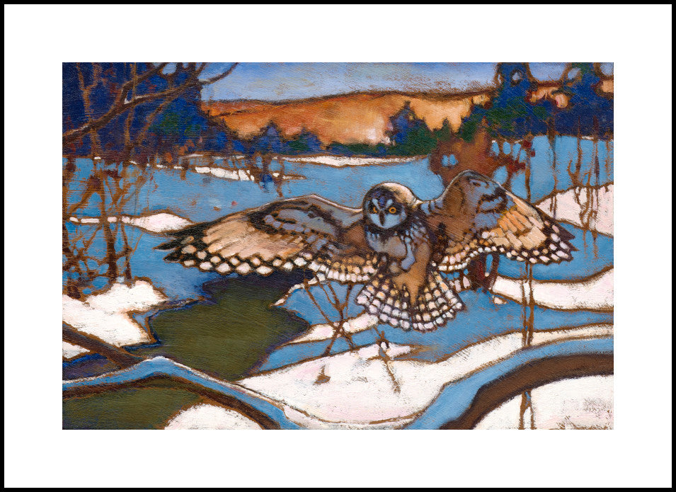 2022 Shorth Eared Owl – The Lord of the Marsh – Raphaël Montpetit