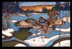 2022 Shorth Eared Owl – The Lord of the Marsh – Raphaël Montpetit