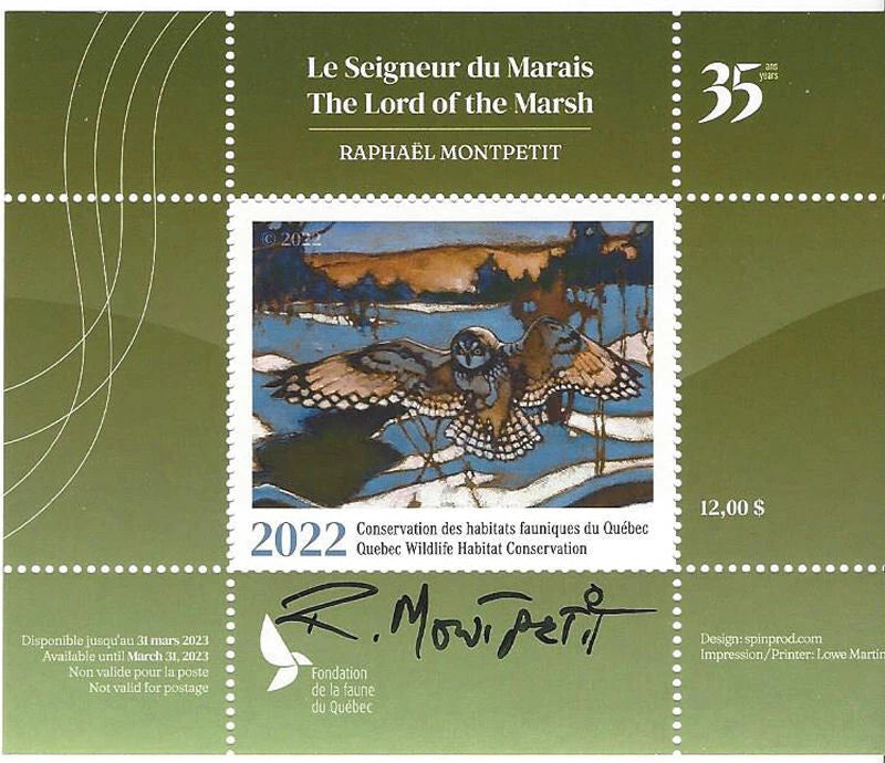 2022 Shorth Eared Owl – The Lord of the Marsh – Raphaël Montpetit