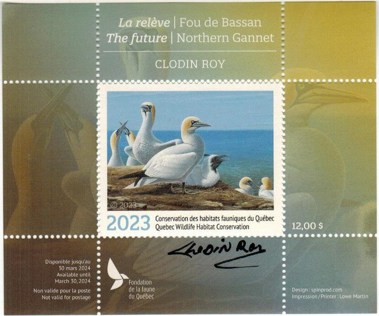 2023 The Future - Northern Gannet by Clodin Roy