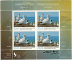2023 The Future - Northern Gannet by Clodin Roy