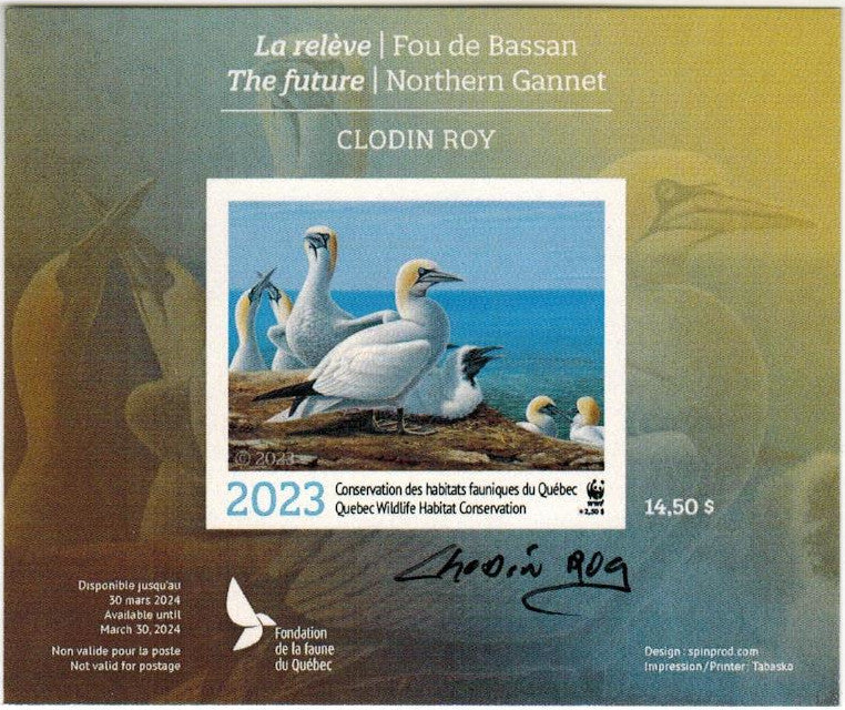 2023 The Future - Northern Gannet by Clodin Roy