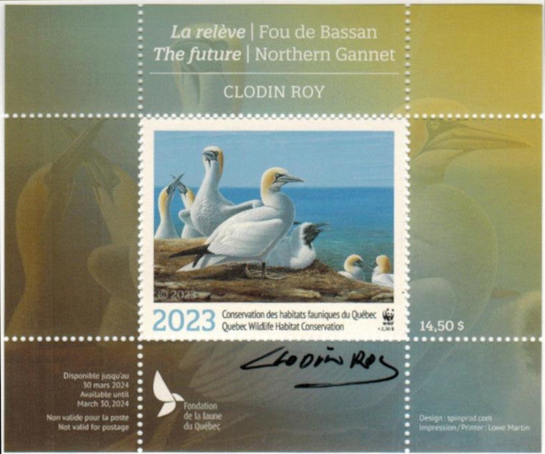 2023 The Future - Northern Gannet by Clodin Roy