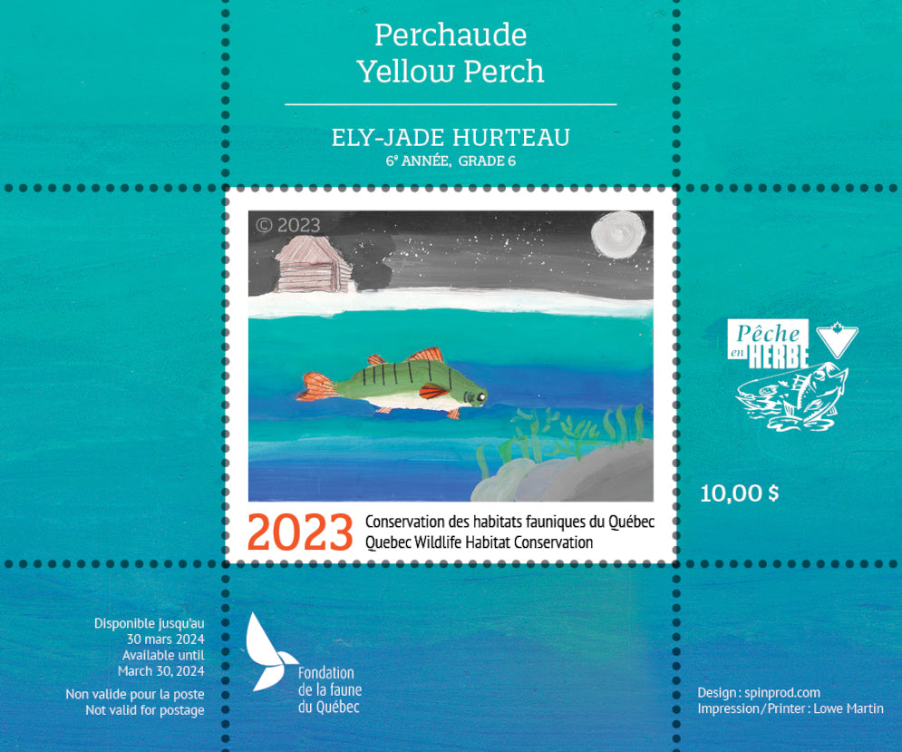 CARNET JUNIOR COLLECTION COMPLÈTE FFQ  2018-2026 (9)