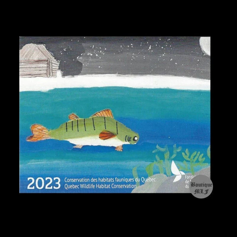 2023 The Future - Northern Gannet by Clodin Roy