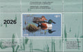 2026 Reflet du soir - Canard souchet  -  Joseph Koensgen