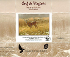 2012 White-tailed Deer by Patrice Wolput