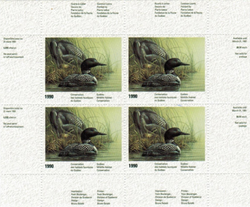 1990 Common Loons by Pierre Leduc