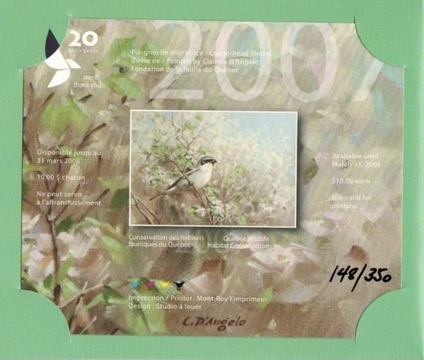 2007 Pie-grièche migratrice de Claudio D’Angelo