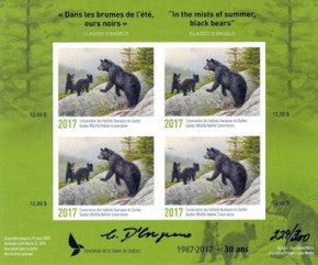 2017 In the mists of summer, black bears by Claudio D’Angelo
