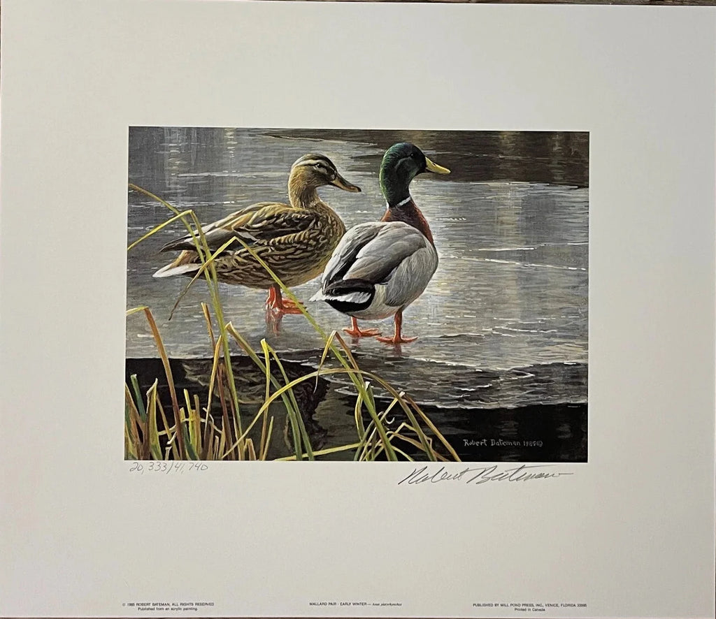 1985 Couple de canards malards de Robert Bateman