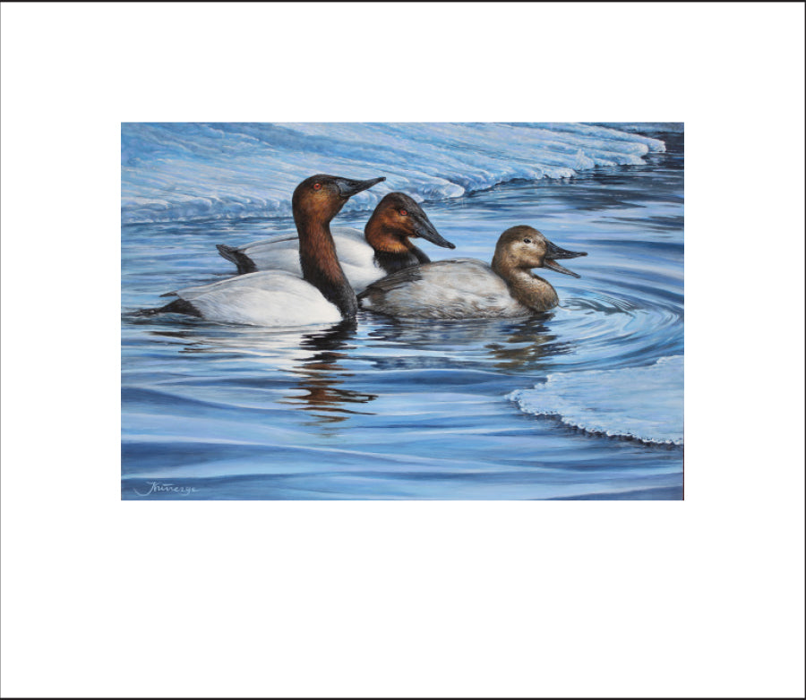 2024 Une paire fière - Petit Garrot - DJ Cleland Hura