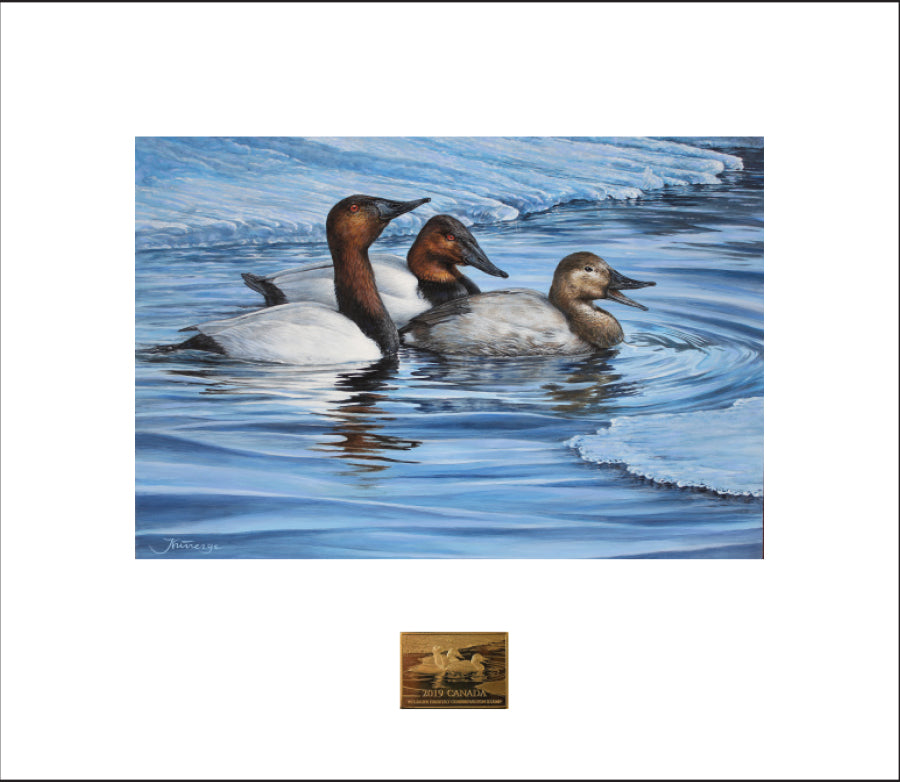 2024 Une paire fière - Petit Garrot - DJ Cleland Hura