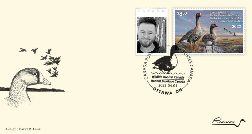 2022 Lumière Nordique - Oies à front blanc - Pierre Girard