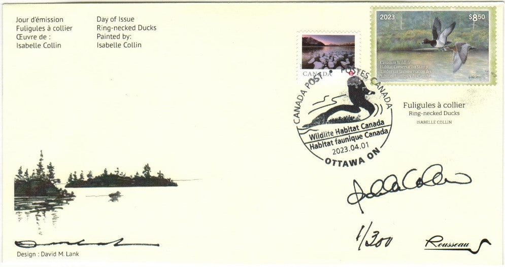 2023 Brume Boréale - Fuligules à collier - Isabelle Collin