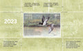 2023 Brume Boréale - Fuligules à collier - Isabelle Collin