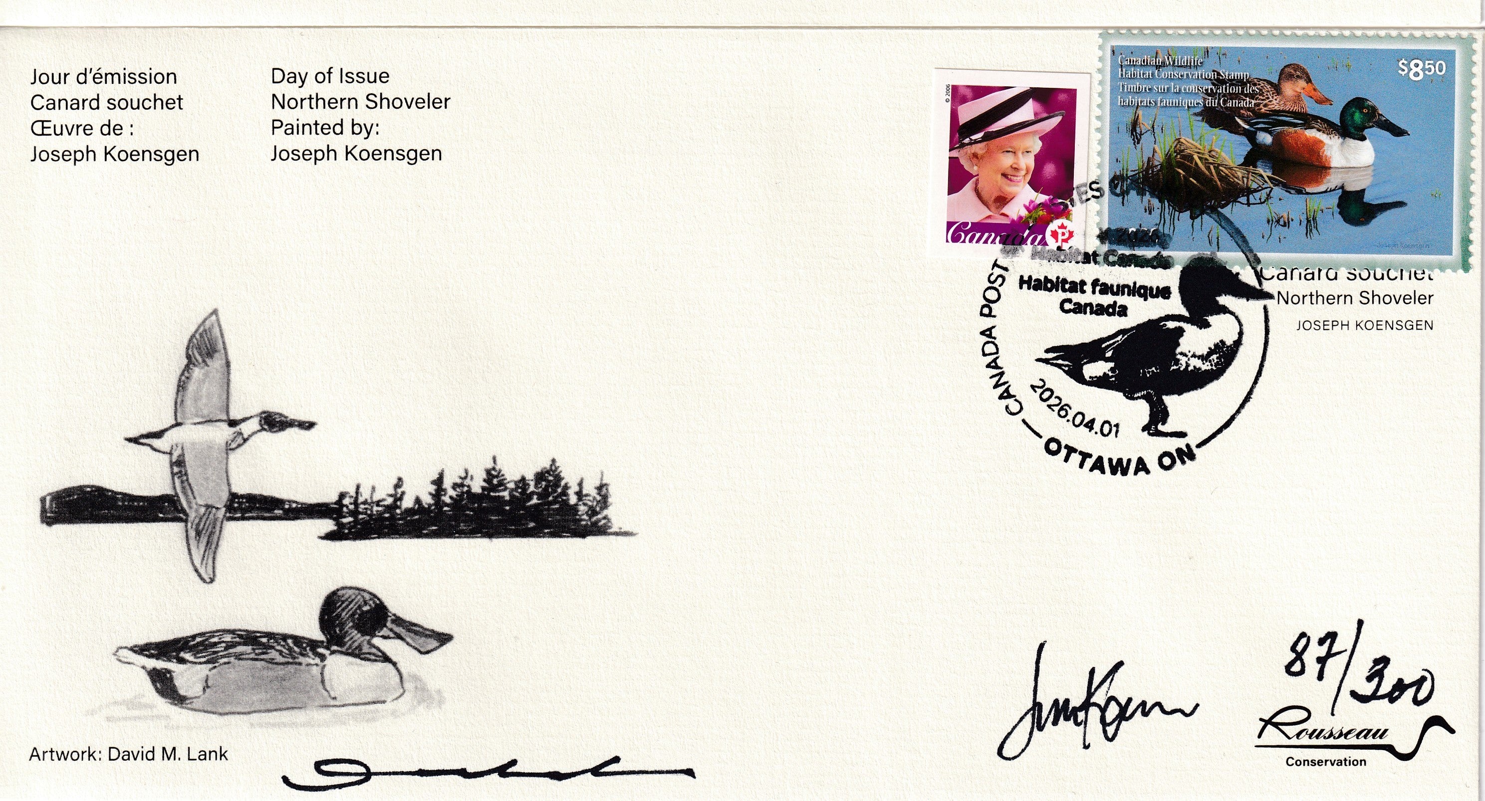 2026 Evening Reflections - Northern Shoveler  -  Joseph Koensgen