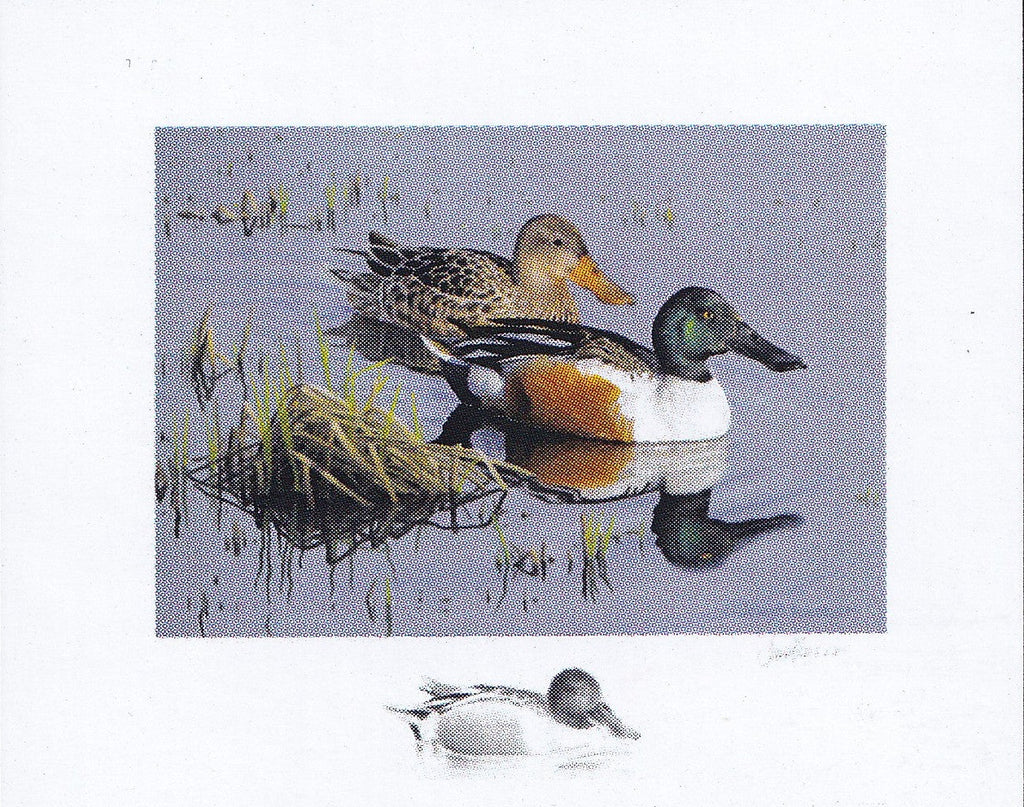2026 Reflet du soir - Canard souchet  -  Joseph Koensgen