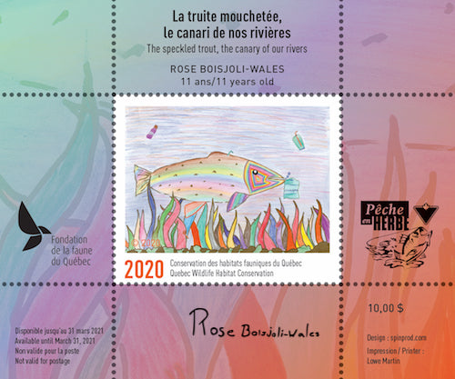 2020 Junior Stamp – The speckled trout, the canary of our rivers by Rose Boisjoli-Wales