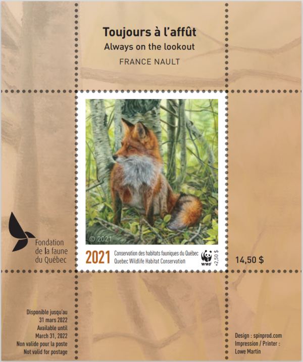 2021 Toujours à l'affut- Renard roux par France Nault
