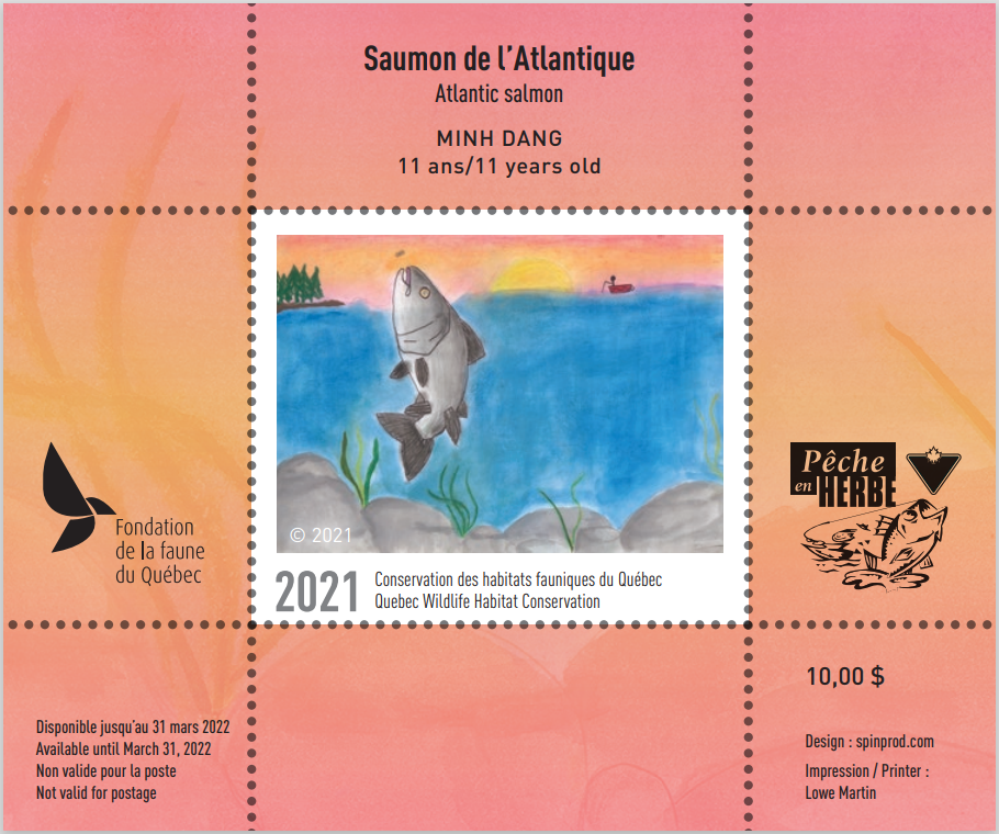 2021 Toujours à l'affut- Renard roux par France Nault