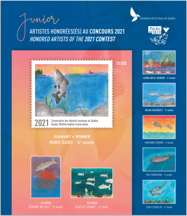 2021 Toujours à l'affut- Renard roux par France Nault