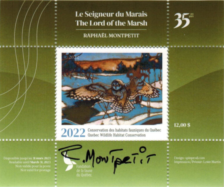 2022 Shorth Eared Owl – The Lord of the Marsh – Raphaël Montpetit