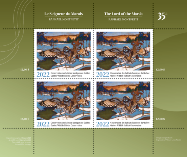 2022 Shorth Eared Owl – The Lord of the Marsh – Raphaël Montpetit