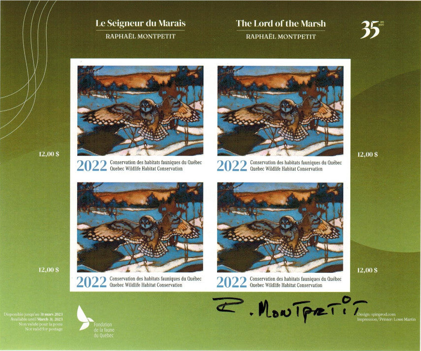 2022 Shorth Eared Owl – The Lord of the Marsh – Raphaël Montpetit