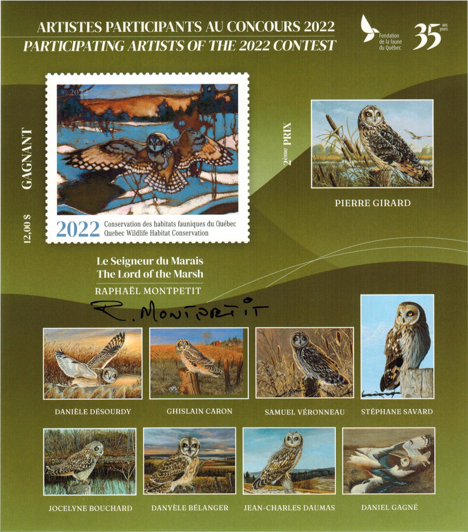 2022 Shorth Eared Owl – The Lord of the Marsh – Raphaël Montpetit