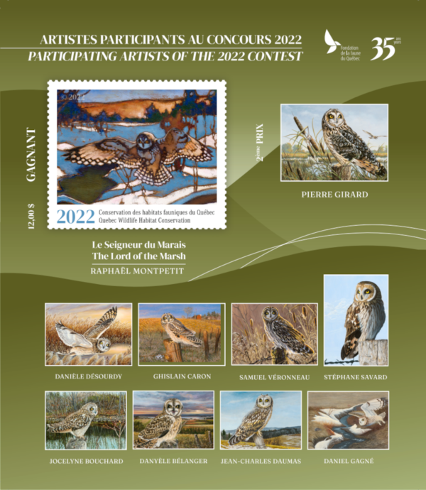 2022 Shorth Eared Owl – The Lord of the Marsh – Raphaël Montpetit