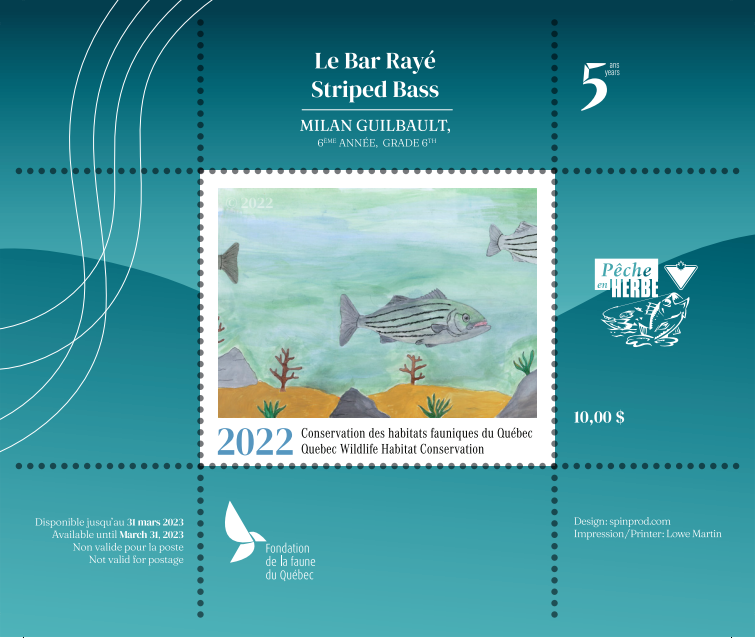 2022 Hibou des marais - Le Seigneur du Marais - Raphaël Montpetit