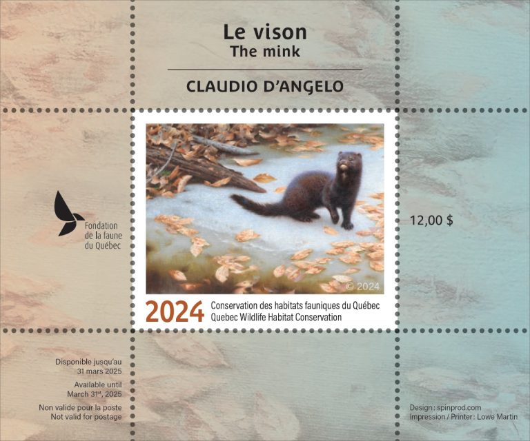 2024 Le vison – Claudio D’Anelo