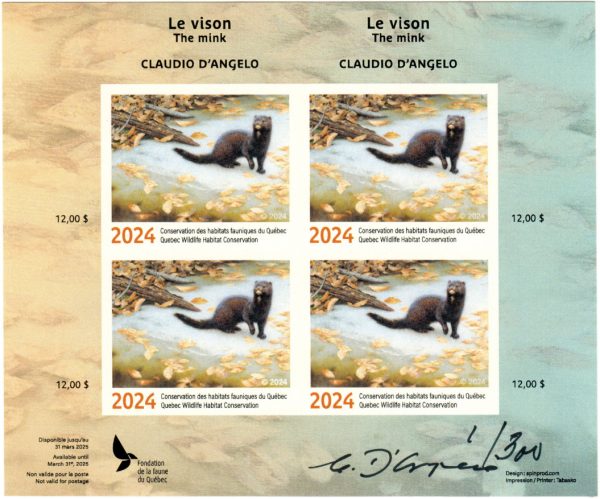 2024 Le vison – Claudio D’Anelo