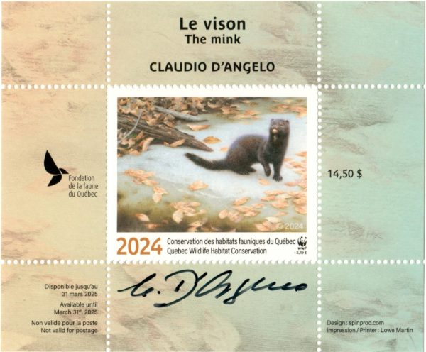 2024 Le vison – Claudio D’Anelo