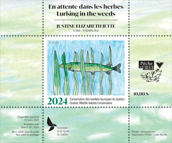 2024 En attente dans les herbes par Justine-Élisabeth Jetté