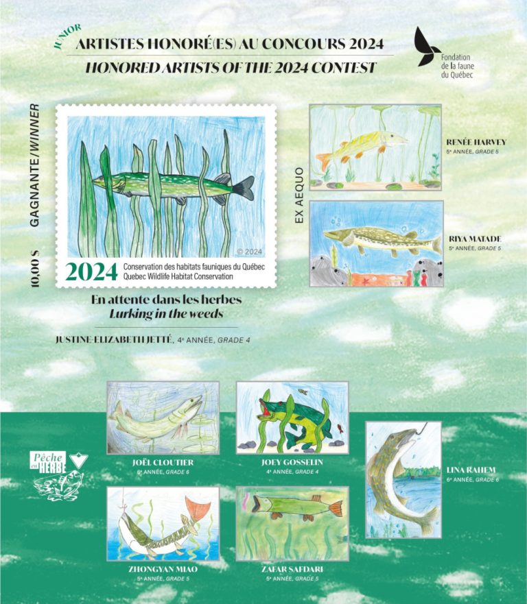 COLLECTION COMPLÈTE de Feuillets Souvenir Artistes Honorés (es) JUNIOR  FFQ  2021-2026