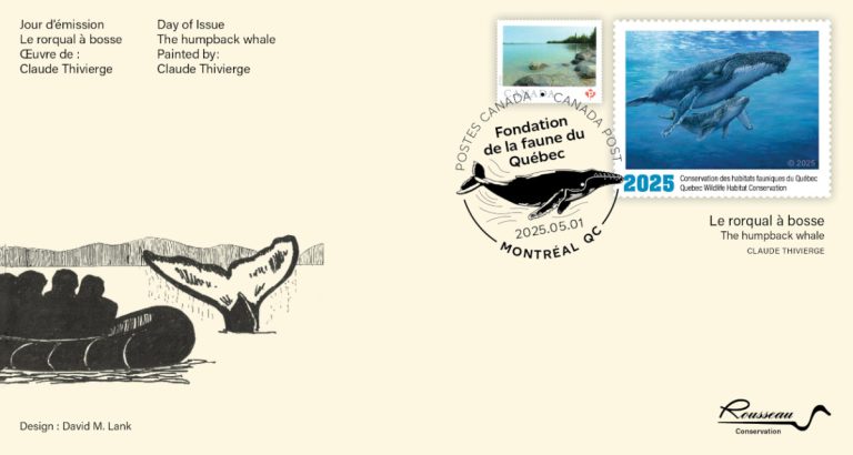 2025 Le rorqual à bosse – Claude Thivierge