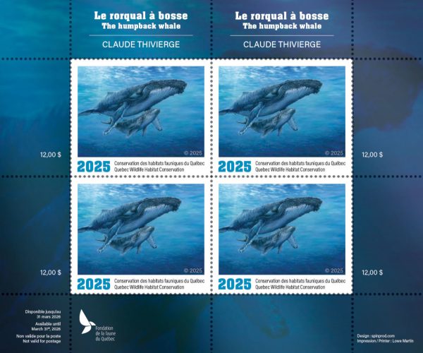 2025 The humpback whale – Claude Thivierge