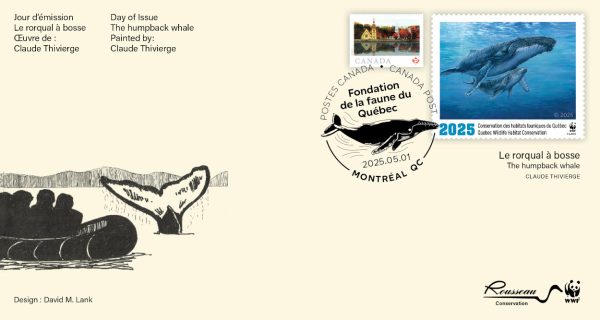 2025 Le rorqual à bosse – Claude Thivierge