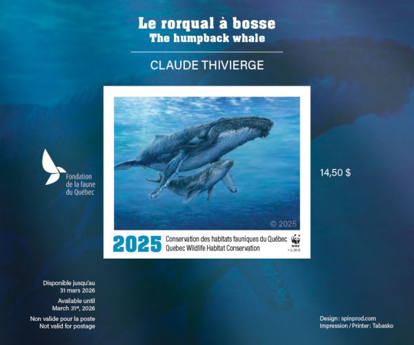 2025 The humpback whale – Claude Thivierge