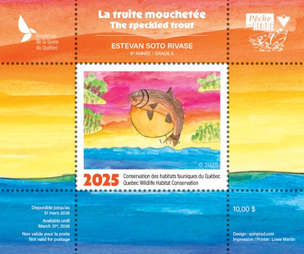 2025 Le rorqual à bosse – Claude Thivierge