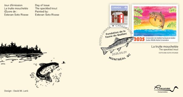 2025 Le rorqual à bosse – Claude Thivierge