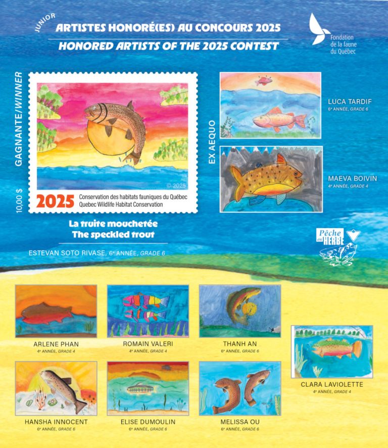 COLLECTION COMPLÈTE de Feuillets Souvenir Artistes Honorés (es) JUNIOR  FFQ  2021-2026