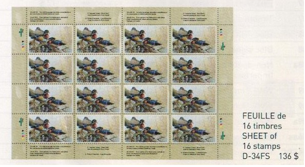 2018 «Teintes d’automne – Canard branchu » de Pierre Girard - LL: lower-left   IG
